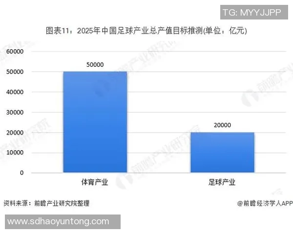 足球明星市场价值暴跌的多重原因解析与影响因素探讨