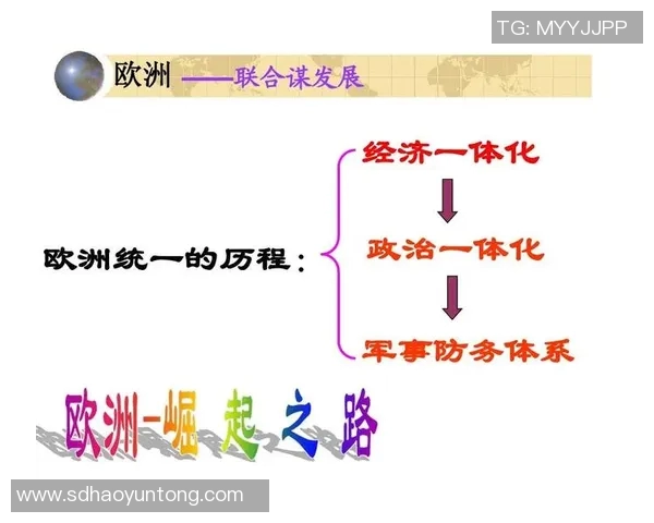 中国知名体育品牌的崛起与发展历程分析及未来市场趋势展望